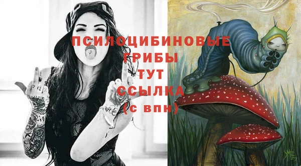 твердый Арсеньев