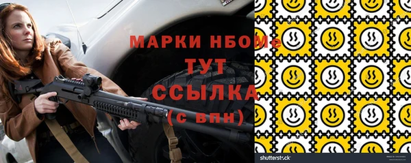твердый Арсеньев