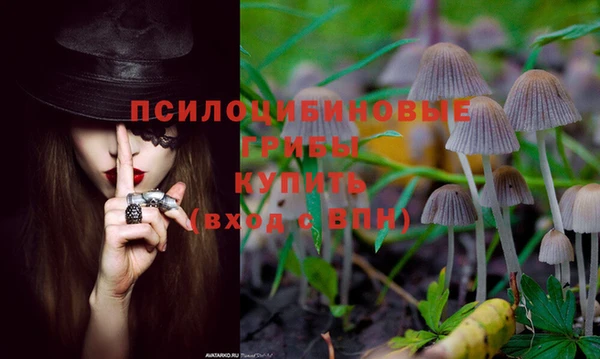 твердый Арсеньев