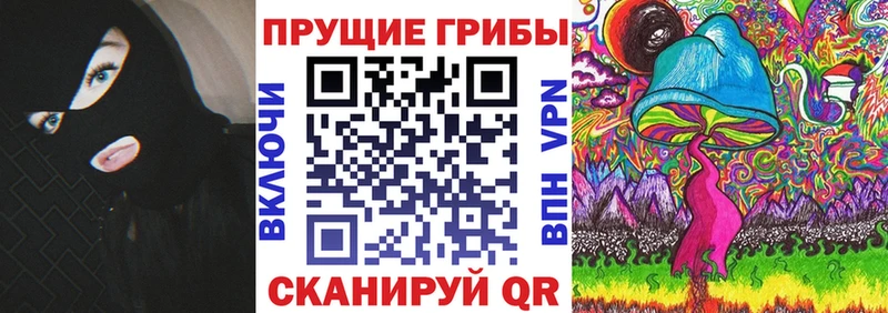 Галлюциногенные грибы Psilocybine cubensis  Саки 